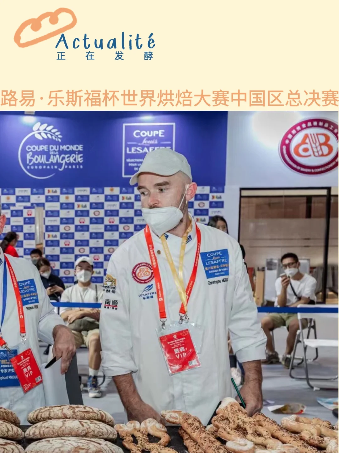 球队整装待发，冲刺冠军宝座的简单介绍