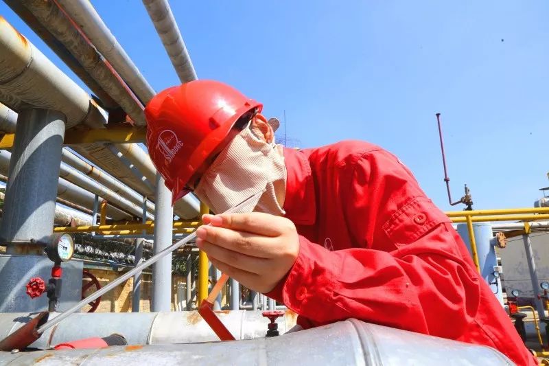 关于挥汗如雨,球员奋力奋斗抓住胜利机会的信息 关于挥汗如雨,球员奋力奋斗抓住胜利机会的信息