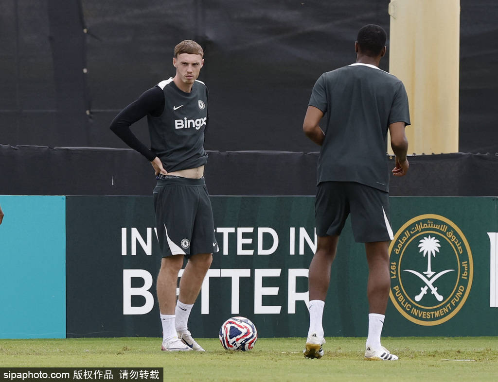 蓝鹰进攻效率下滑，教练大力调整战术