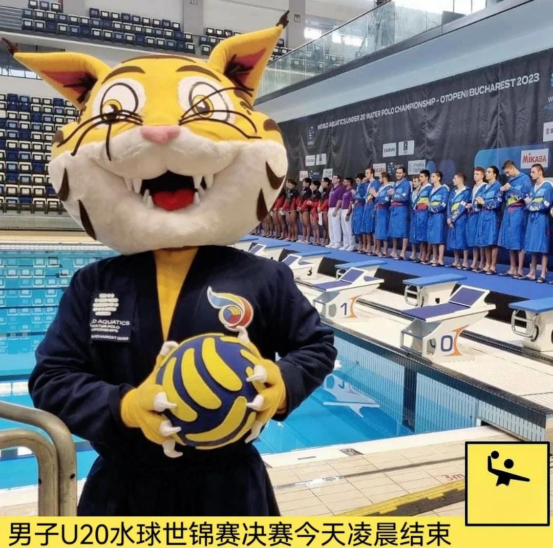 匈牙利队在国际锦标赛中晋级 匈牙利队在国际锦标赛中晋级