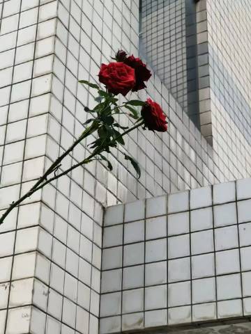 西科社团代表精神，助球队获得胜利